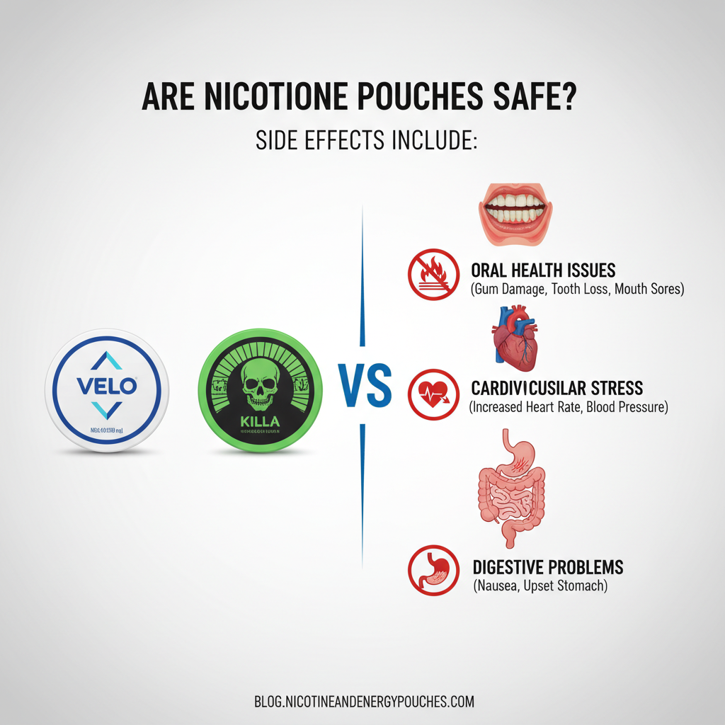 are nicotine pouches safe health risks and side effects diagram