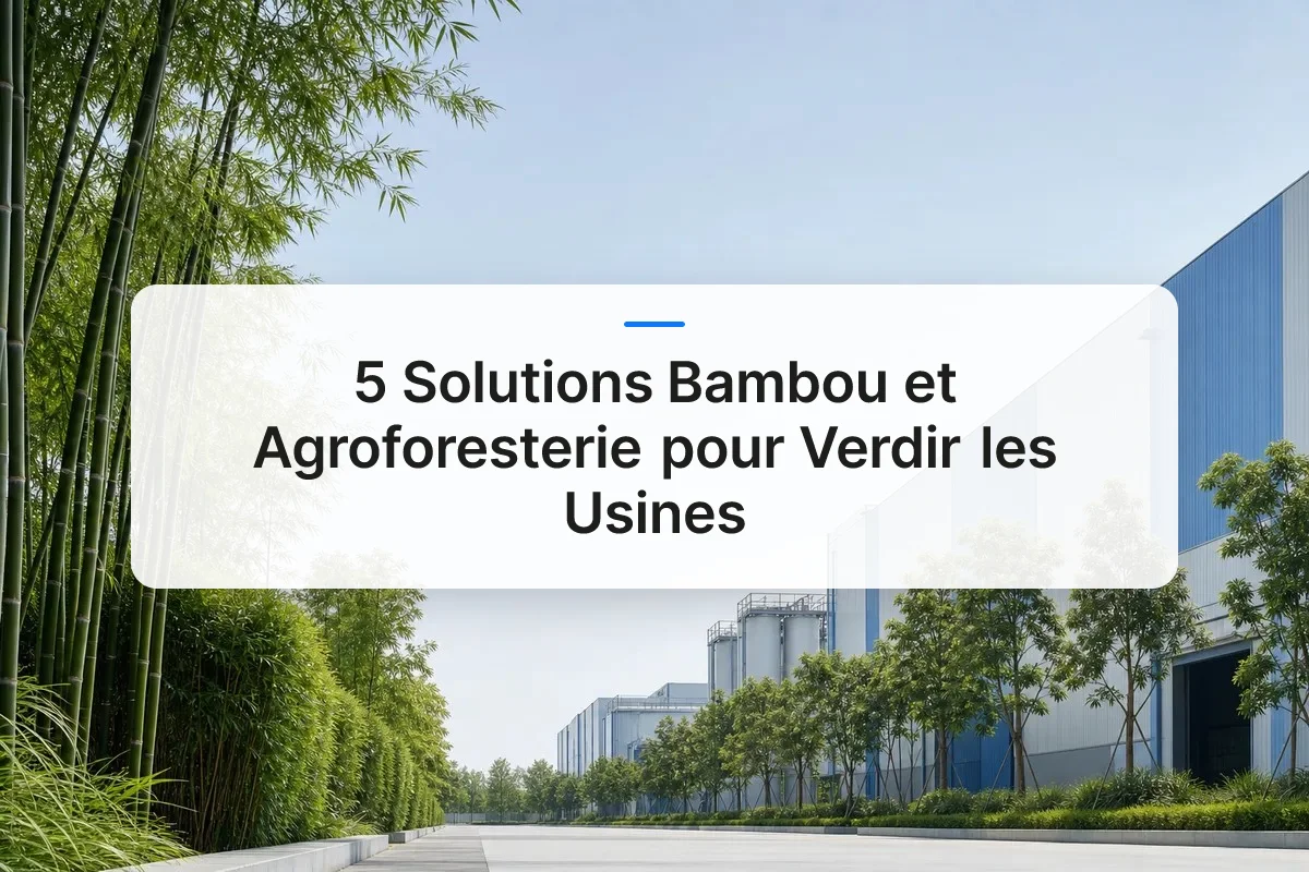 solutions bambou agroforesterie usines overview