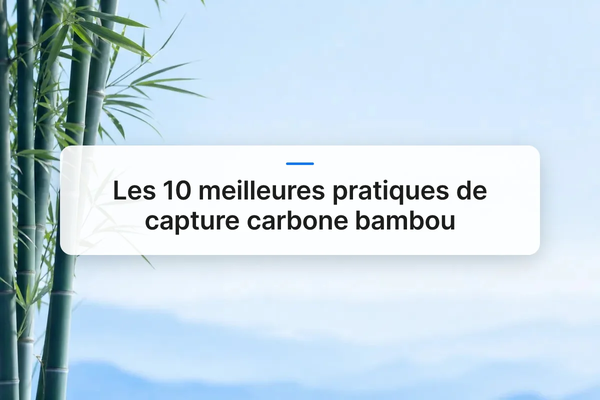 meilleures pratiques capture carbone bambou overview