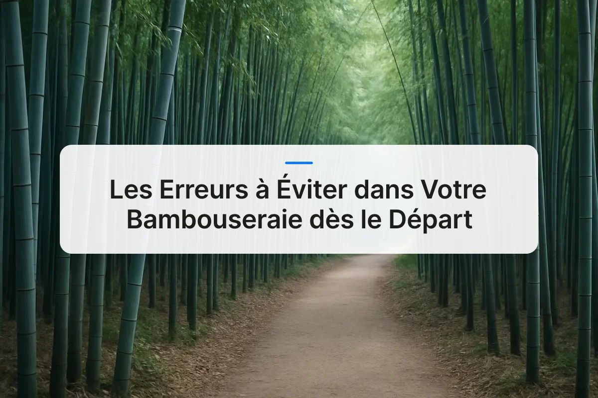 erreurs éviter bambouseraie vue d'ensemble