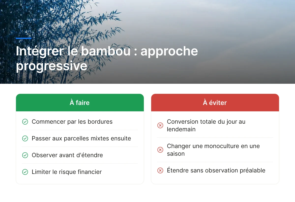 Intégrer le bambou : approche progressive
