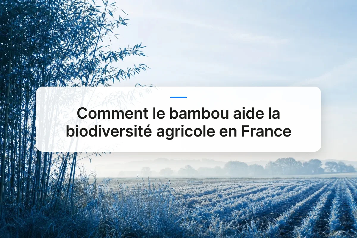 bambou biodiversité agricole overview