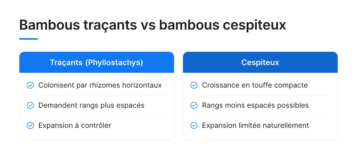 Bambous traçants vs bambous cespiteux