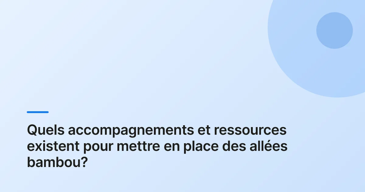 allées bambou exploitation structure summary