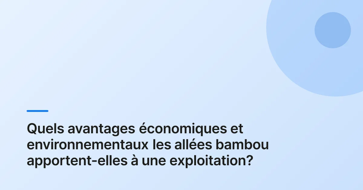 allées bambou exploitation structure example