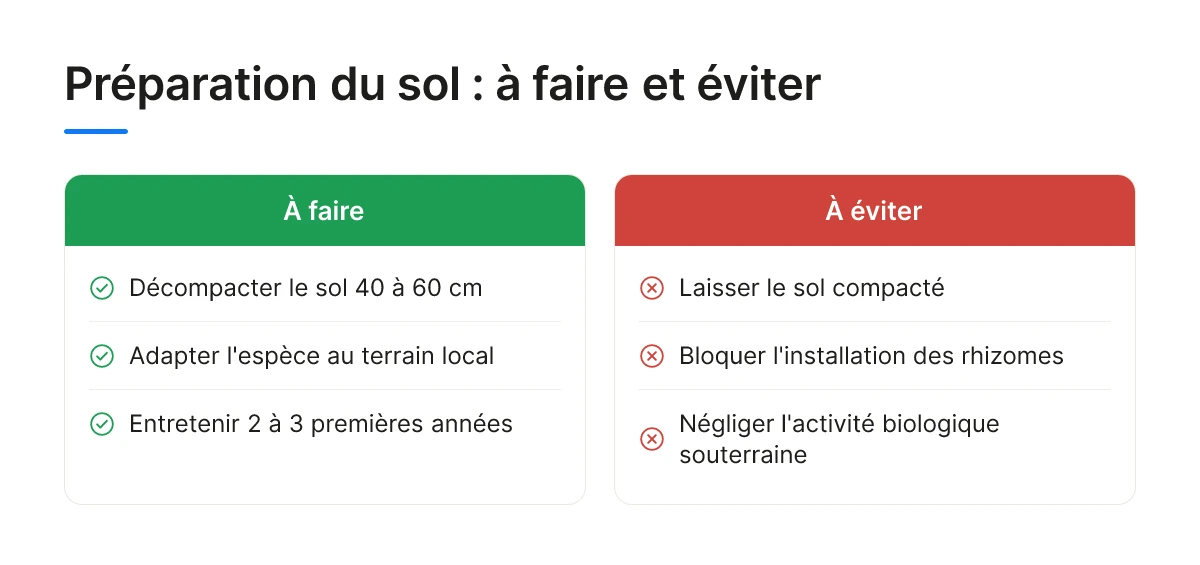 Préparation du sol : à faire et éviter
