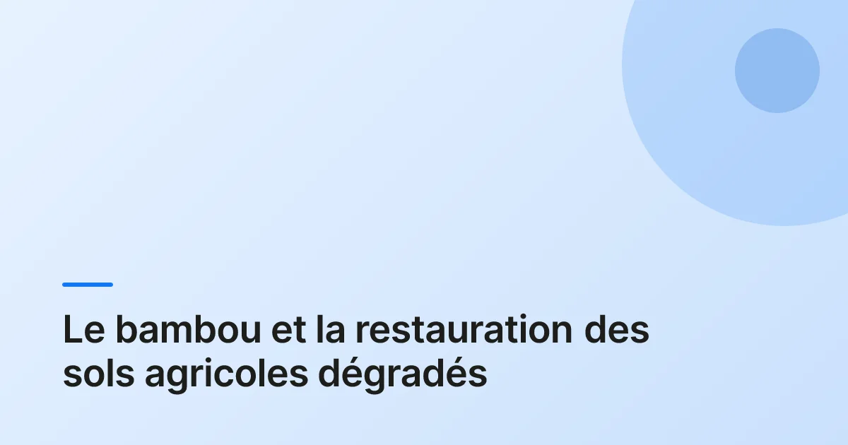 bambou restauration sols dégradés overview