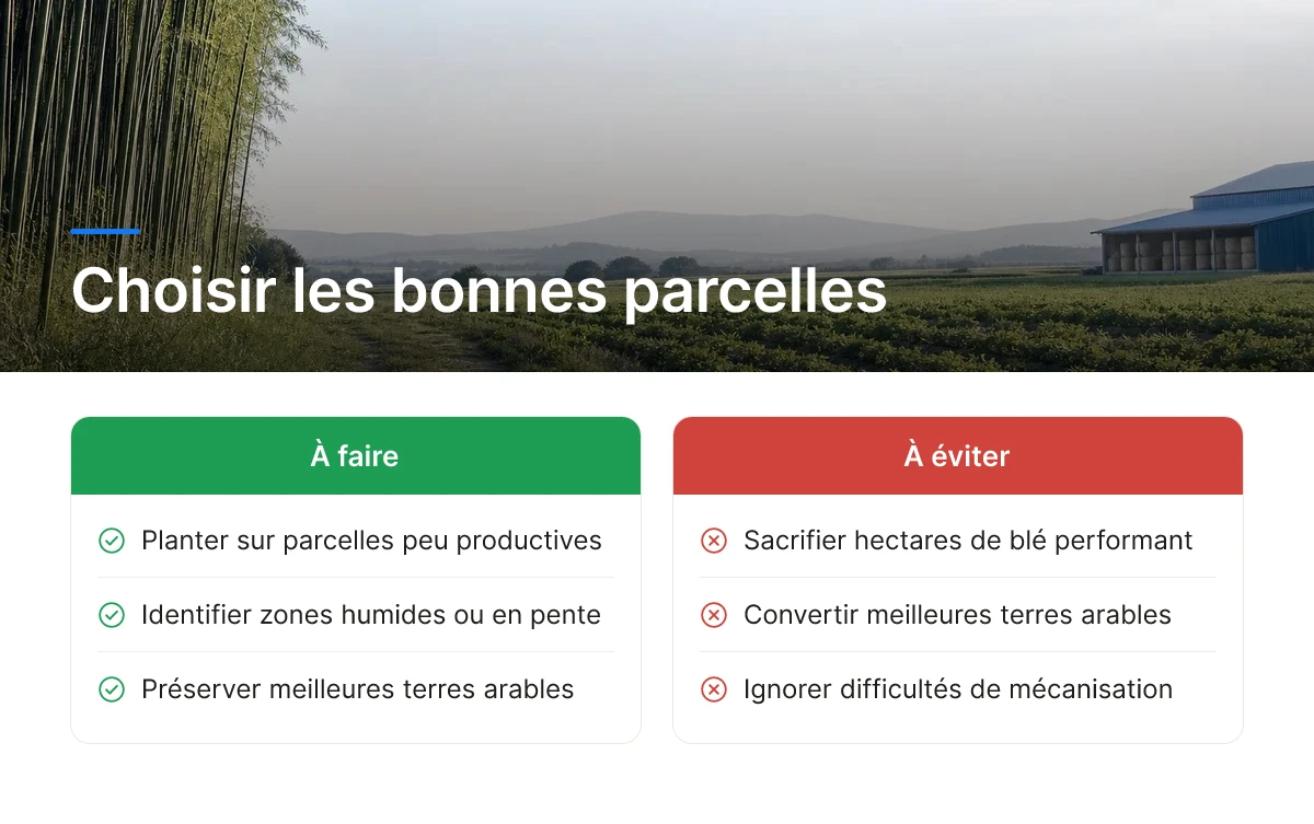 Choisir les bonnes parcelles