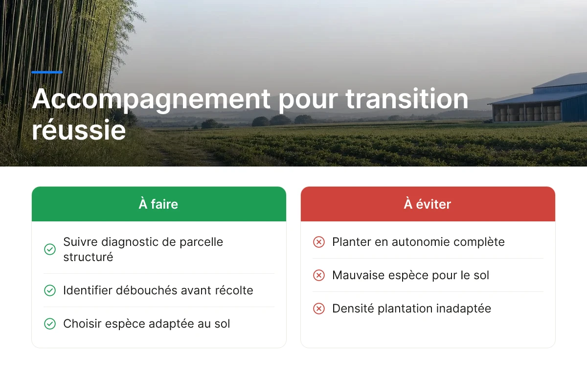 Accompagnement pour transition réussie
