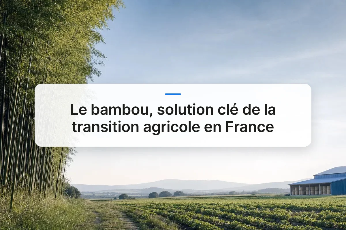 transition agricole bambou France overview