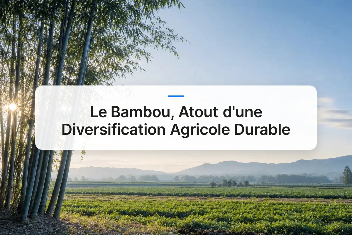 diversification agricole bambou durable overview