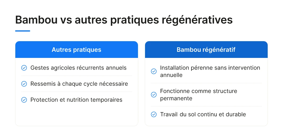 Bambou vs autres pratiques régénératives