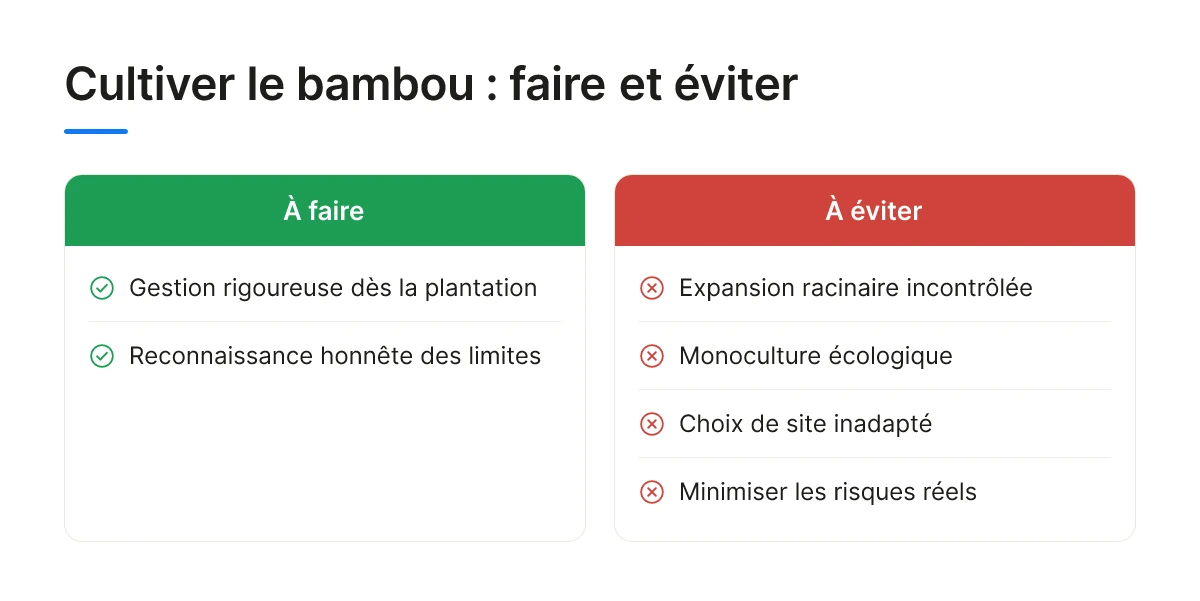 Cultiver le bambou : faire et éviter