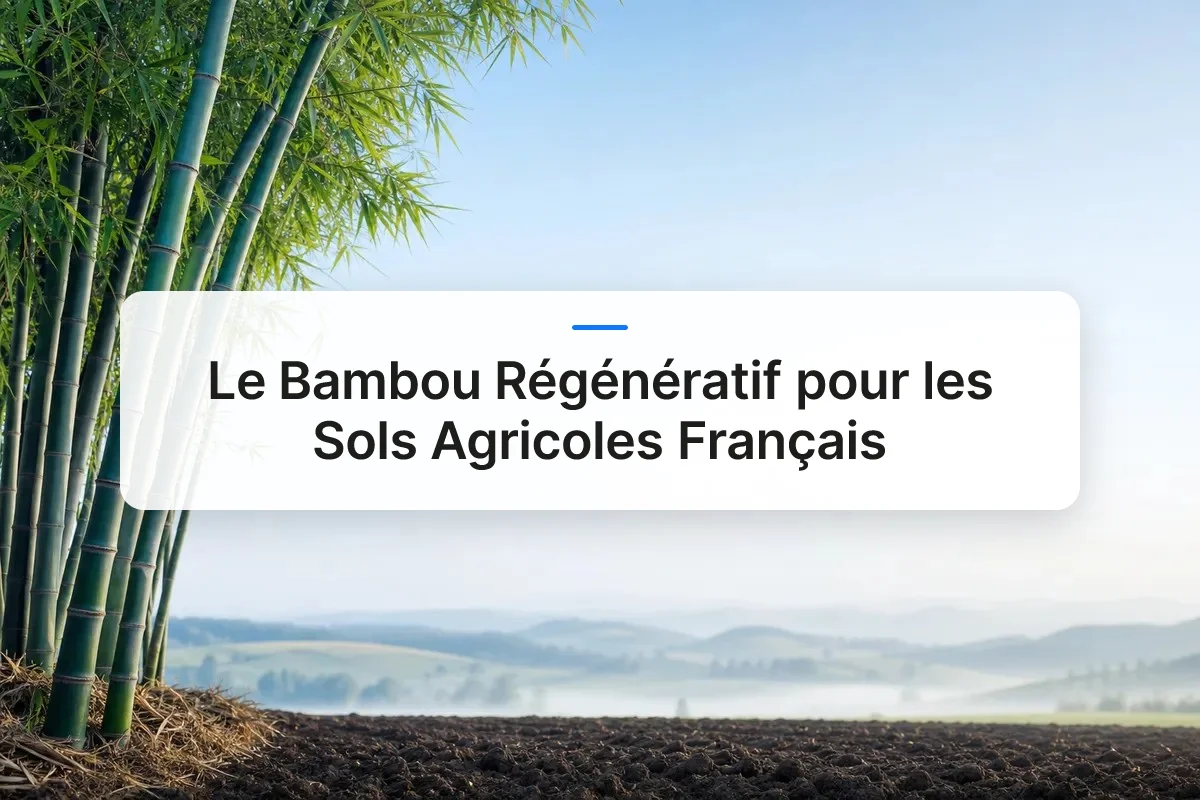 bambou régénératif sols agricoles overview