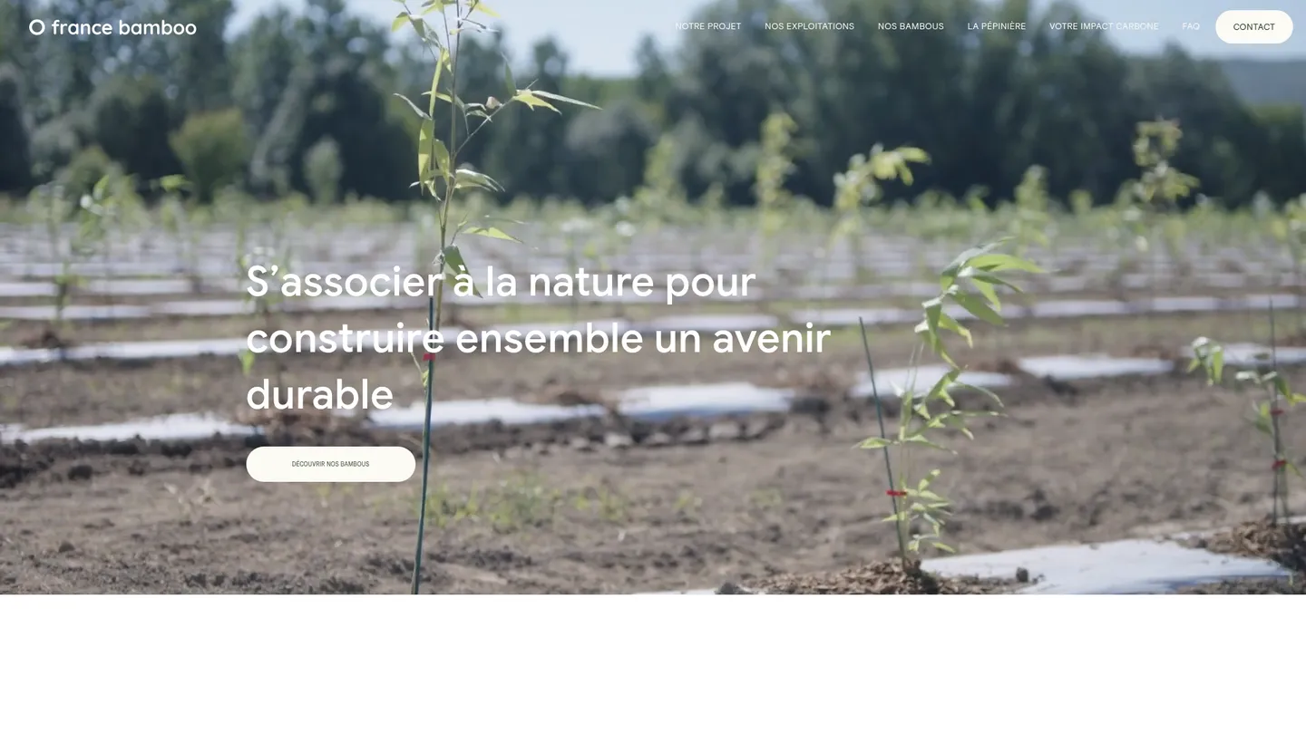 bambou non traçant website screenshot